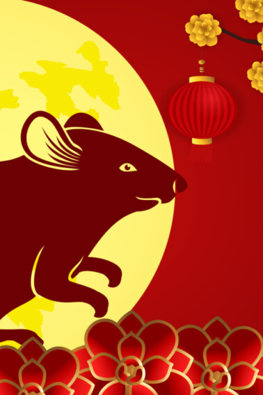 chinese new year rat feature