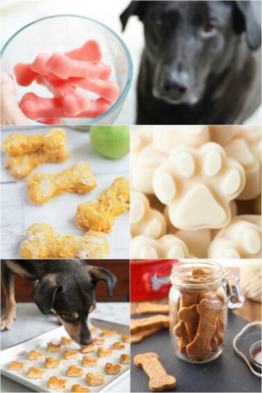 14 DIY Dog Treats for Your Furry Friend