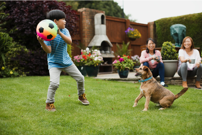 Family playing together - ball with the dog in the backyard - Kids activities blog