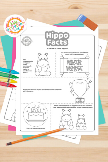 Black and white coloring pages with hippo facts lying on top of a blue-green sheet with multicolored letters on a light brown background.