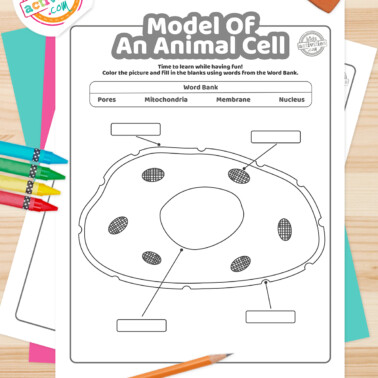 Black and white model of an animal cell coloring pages lying on top of a blue-green sheet with multicolored letters on a light gray background.