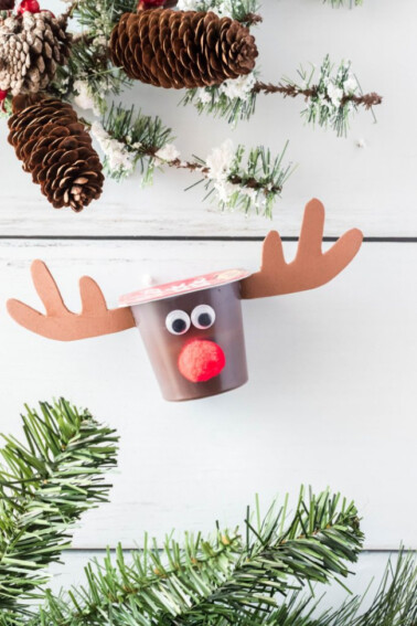 rudolph pudding cup