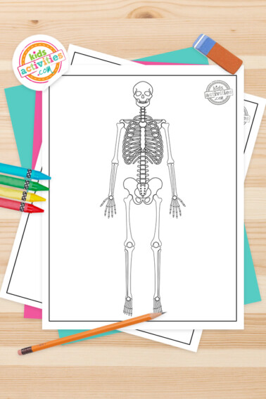 Skeleton Coloring Pages Feature Image