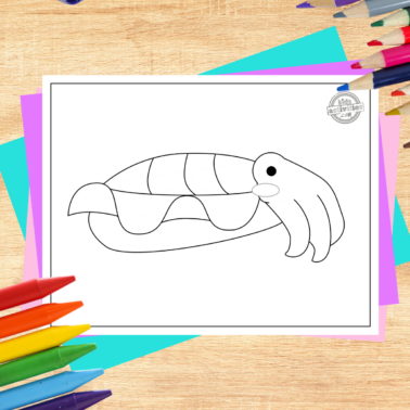 Cuttlefish coloring page printed pdf on a wooden background with coloring supplies- kids activities blog