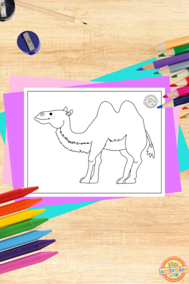 Free printable Bactrian camel coloring page printed pdf black and white sheet on decorated wooden background with colorful coloring supplies and colorful accessories- kids activities blog