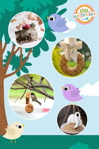 Image shows a compilation of bird feeder tutorials from different sources using household items.