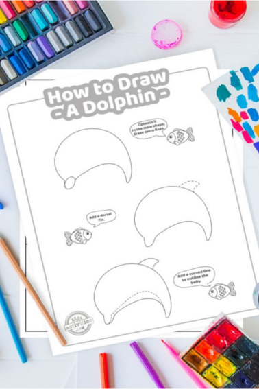 how to draw a dolphin tutorial